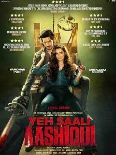 Yeh Saali Aashiqui