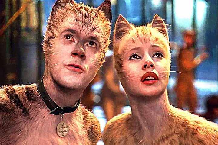 CATS