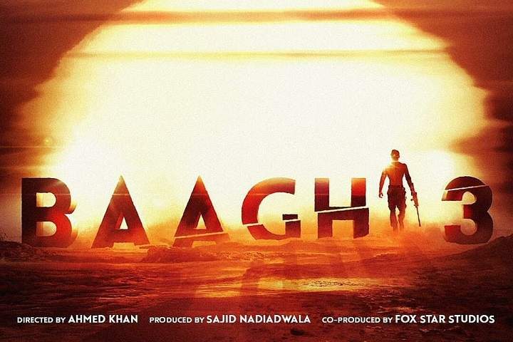 Baaghi 3