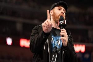 Top 10 WWE Moves Of Sami Zayn