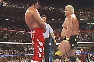 WWE SummerSlam 1989 Full Results August 28, 1989: Match Card, Winners, Full Show, Date, Venue