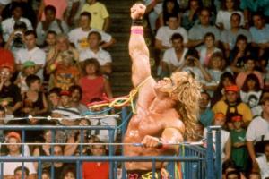 WWE SummerSlam 1990 Full Results August 27, 1990: Match Card, Winners, Full Show, Date, Venue