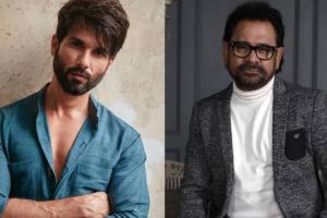 Shahid Kapoor and Rashmika Mandanna's Action Comedy With Director Anees Bazmee Gets Shelved?
