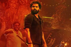 Skanda Box Office Collection | All Language | Day Wise | Worldwide