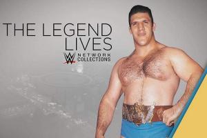 Top 10 Longest Combined Reigning WWE Champions