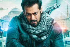 Box Office: 'Tiger 3' Enters 200 Crores Net Club In Hindi; Day 7 Early Estimates
