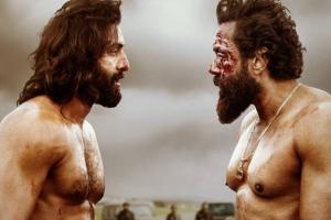 Ranbir Kapoor's 'Animal' Becomes 4th Indian Movie of 2023 To Hit 3 Crore Footfalls