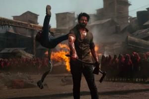 Box Office: 'Salaar' Becomes Third Film of Prabhas To Score 500 Crore Gross Worldwide