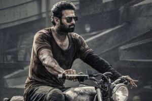Box Office: 'Salaar' Hits 100 Crore Gross Milestone In Nizam