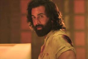Mega Blockbuster 'Animal' Final Worldwide Box Office Collection and Records