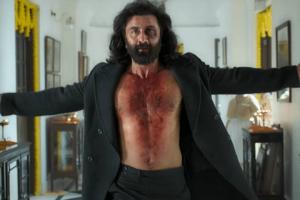 Ranbir Kapoor's 'Animal' Score Record Viewership On Netflix In The Opening Weekend