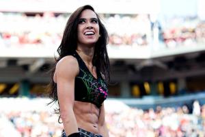 AJ Lee Not Returning To WWE Despite CM Punk's Comeback?