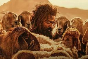 Box Office: Aadujeevitham Takes A Sensational Opening Domestically