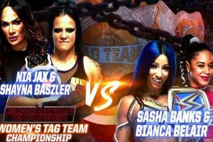 WWE Women's Tag Team Championship Match Added To Elimination Chamber