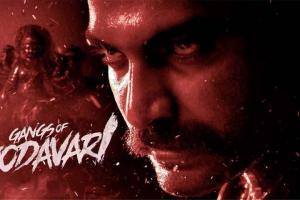 Gangs of Godavari Box Office Collection | All Language | Day Wise | Worldwide