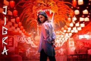 Jigra Box Office Collection | All Language | Day Wise | Worldwide