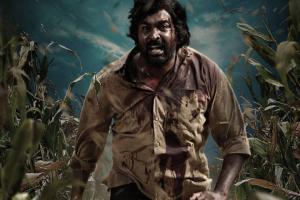 Viduthalai Part - 2 Box Office Collection | All Language | Day Wise | Worldwide
