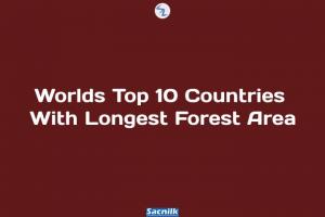 Worlds Top 10 Countries With Longest Forest Area