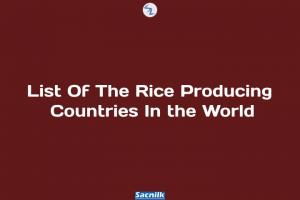 List Of The Rice Producing Countries In the World