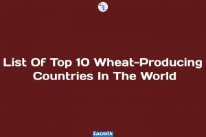 List Of Top 10 Wheat-Producing Countries In The World