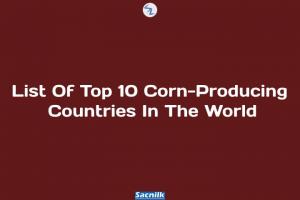 List Of Top 10 Corn-Producing Countries In The World