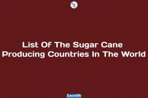 List Of The Sugar Cane Producing Countries In The World