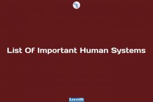 List Of Important Human Systems