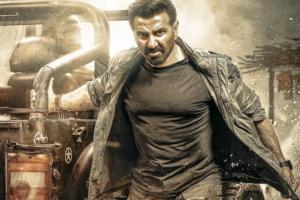 Jaat Box Office Collection | All Language | Day Wise | Worldwide