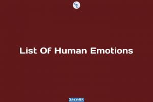 List Of Human Emotions