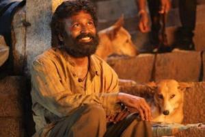 Box Office: Dhanush's 'Kuberaa' Scored Excellent Opening Day Worldwide