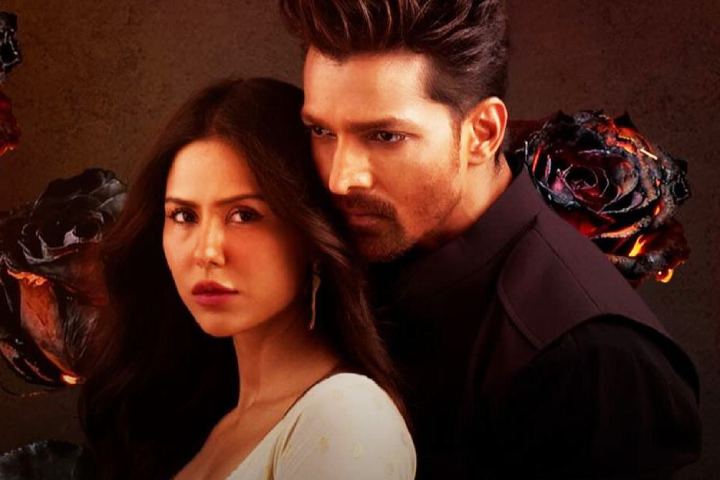 Ek Deewane Ki Deewaniyat Final Box Office Collection: Harshvardhan Rane's Romance Drama Hits Unexpected Bull's Eye