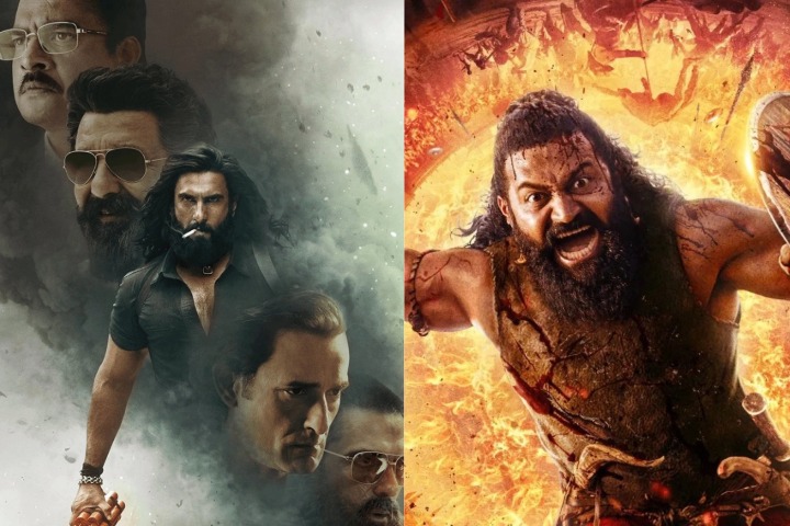 Year Ender 2025: The Genre Gamble From High Octane Action to Cultural Roots, Analyzing the Year's Ultimate Winners