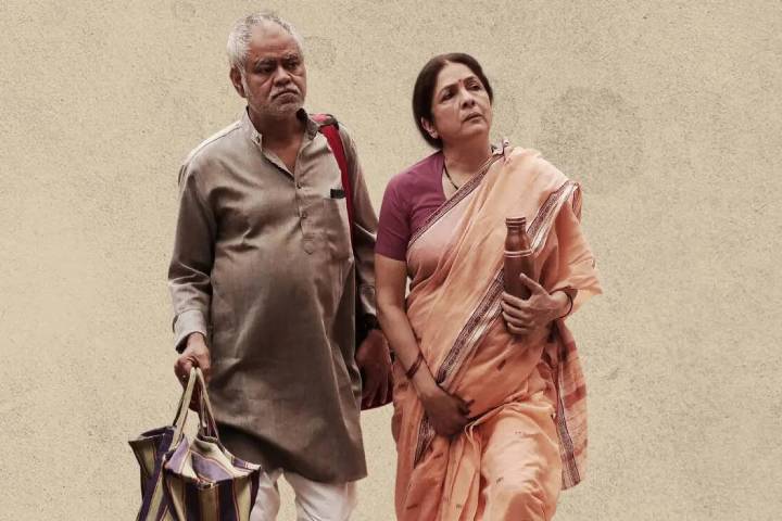 Vadh 2 Box Office Collection | All Language | Day Wise | Worldwide