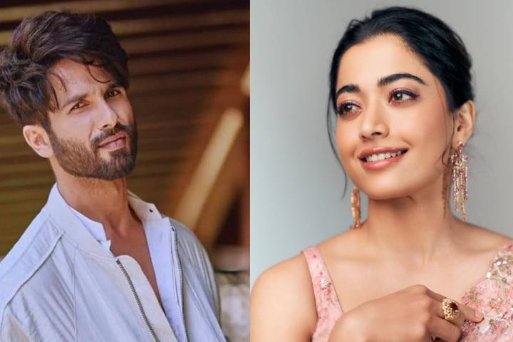 After Cocktail 2, Shahid Kapoor and Rashmika Mandanna To Reunite For A Romantic Comedy