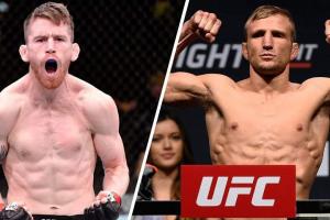 UFC on ESPN: Sandhagen Vs. Dillashaw Fight Card: Prediction, Poster, Odds, Start Time