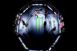 UFC On ESPN+ 38 Weigh-In Results: Brian Ortega (146) Vs. Chan Sung Jung (146)