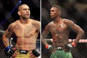 UFC 281 Fight Card: Prediction & Preview, Date & Location, Tickets, Poster, Odds, Start Time