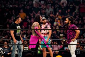 Jeff Hardy Discusses A Potential Three-Way Ladder Match Between The Hardys, FTR, And The Young Bucks