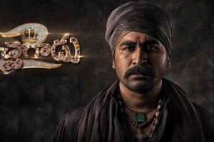 Pichaikkaran 2 Box Office Collection | All Language | Day Wise | Worldwide