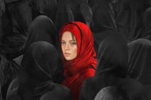 72 Hoorain Box Office Collection | All Language | Day Wise | Worldwide