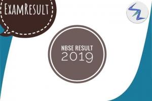 Nagaland Board Class 10th and 12th Result 2019 | Full Details Inside
