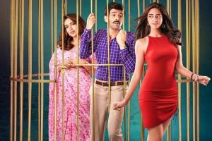 Pati Patni Aur Woh Box Office Collection | Day Wise | Worldwide