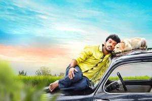 Naanu Matthu Gunda Box Office Collection | Day Wise | Worldwide