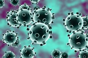 COVID-19 (Coronavirus) Cases | Country Wise | Other Details