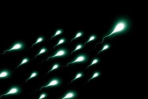 Anxious about COVID-19? Stress can hamper sperm quality