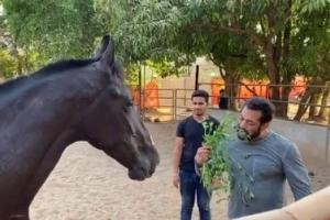 Salman Khan eats leaves for breakfast along with his horse, says it's 'damn good'