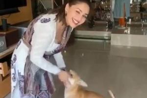 Madhuri, Preity shower love on furry friends on National Pet Day