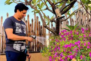 Bollywood on Earth Day: Let's keep the planet clean and green