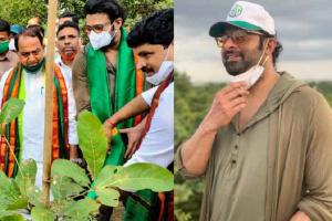 Superstar Prabhas Adopts 1650 Acres Of Forest Land As Part Of Green India Challenge