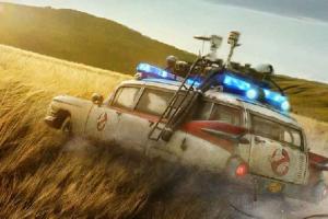 Sony Pictures Films India To Release Over 17 Films In 12 Months In India